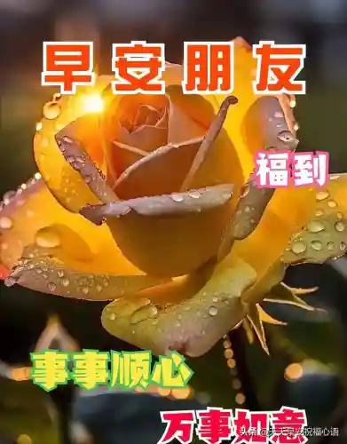 带来福气和好运的图片(女人好运吉祥微信头像图片)插图6