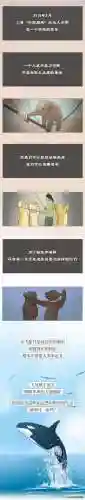 为啥说尽量别带孩子去海洋馆(暑假带孩子去海边旅游哪里好)插图7 为啥说尽量别带孩子去海洋馆(暑假带孩子去海边旅游哪里好)插图7