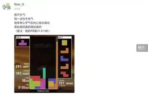 俄罗斯方块经典怀旧版单机不联网(80和90年俄罗斯方块手机下载)插图2