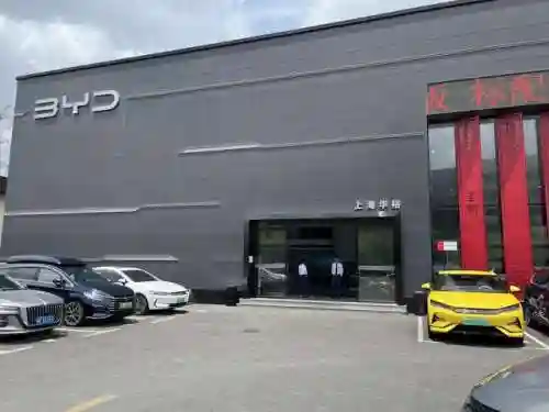 探店王朝阵容搭配图(王牌探险家阵容推荐)插图3