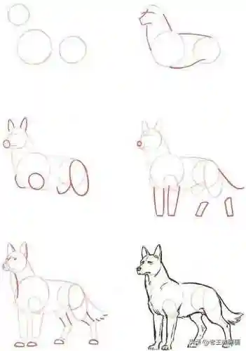 画100个呆萌可爱小动物(画小动物简单又可爱)插图17
