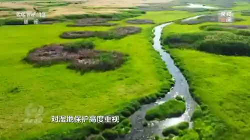 体球网手机比分(体球网足球官网)插图5