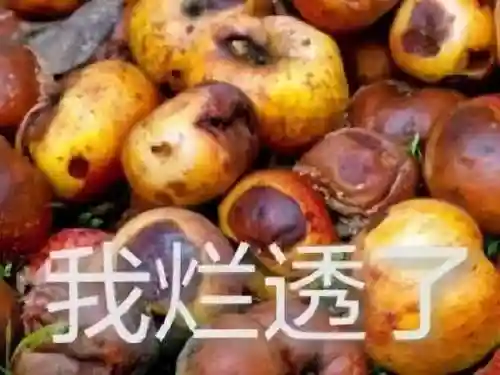 猫里奥第四关攻略(猫里奥)插图1