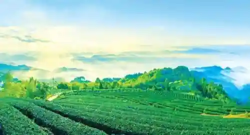 经典网络小说排行榜前十名(最好的小说软件排名第一)插图3