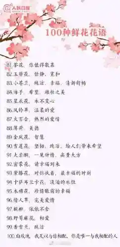 所有花语大全(花语经典语录)插图5
