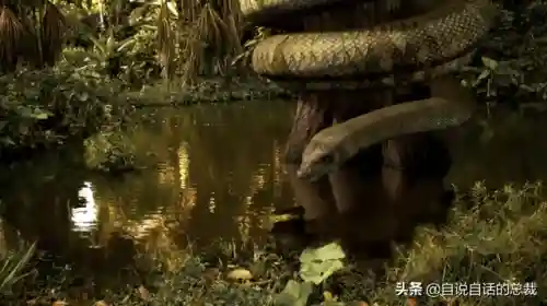远古巨兽大复活(上古神兽饕餮电影免费)插图36 远古巨兽大复活(上古神兽饕餮电影免费)插图36