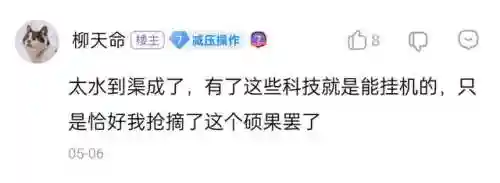 植物大战僵尸中文无敌版(pvz无敌版下载)插图26