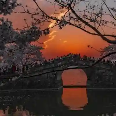 有诗意的游戏名(游戏好名字排行榜)插图1 有诗意的游戏名(游戏好名字排行榜)插图1
