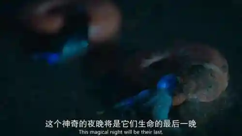 史前星球阵容搭配图表最新(走开外星人最强阵容)插图38
