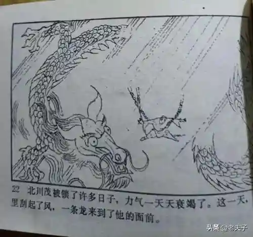 寻宝渔夫大亨(捕鱼大亨)插图22