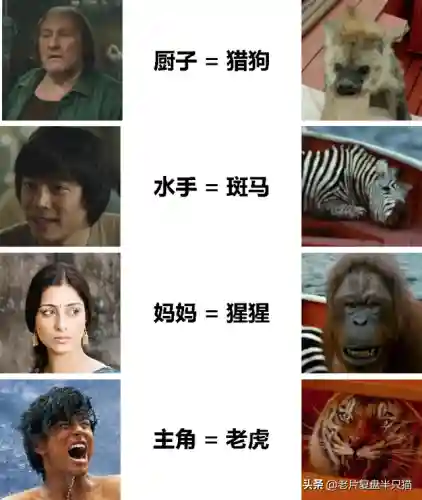 少年派的奇幻漂流(少年派隐喻深度解析)插图45