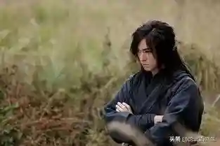 流星蝴蝶剑十大高手(流星蝴蝶剑原著武功排名)