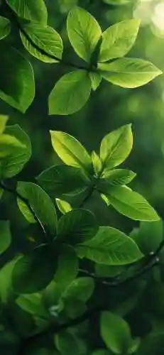 屏保图片手机壁纸2022高清动态(手机屏保壁纸)插图8