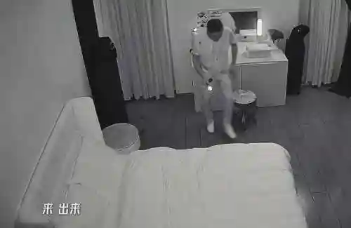 挑战鬼屋推荐阵容搭配图片(屋顶困难模式最佳阵容)插图14 挑战鬼屋推荐阵容搭配图片(屋顶困难模式最佳阵容)插图14