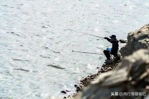 东南风适合钓鱼吗(风向钓鱼口诀)插图2