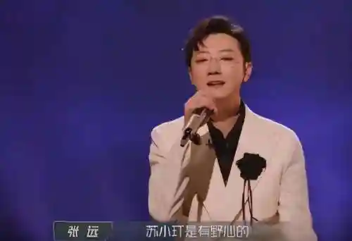追捕者最强阵容搭配攻略(三国志战略版最强阵容)插图2