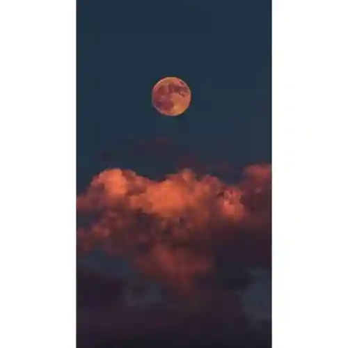 手机桌面壁纸可爱(苹果手机屏保壁纸2023)插图7
