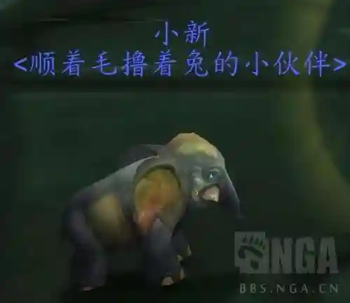魔兽小宠物前期阵容搭配(魔兽世界宠物对战最强组合)插图5