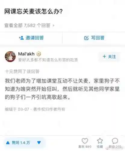 终极猎手搭配什么阵容最好(热血猎人平民最强阵容)