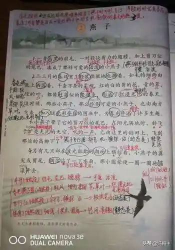 悠闲的反义词(悠闲的反义词是什么(最佳答案))插图1