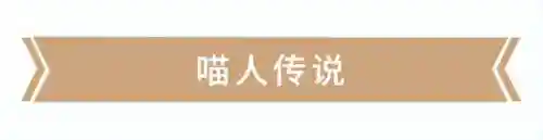搭配阵容碰撞游戏有哪些(能组队的游戏有哪些？)插图4