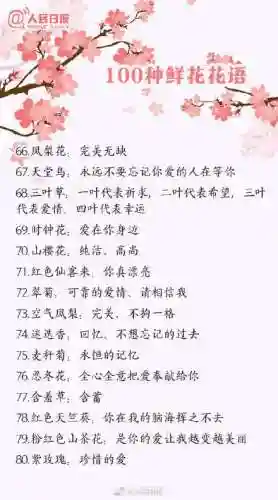 所有花语大全(花语经典语录)插图4