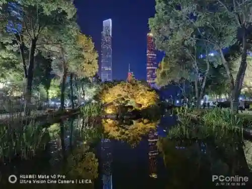 豪华专业的阵容搭配图(不朽家族推图阵容搭配)插图24