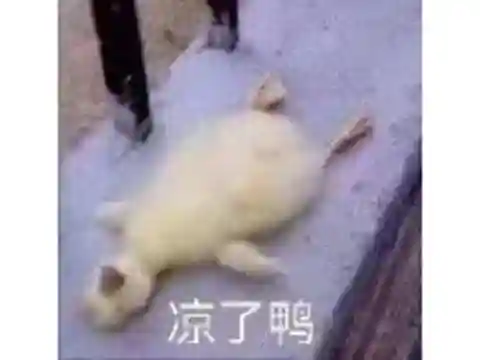 樱花校园2021更新版正版在哪下(樱花校园模拟器最新版在哪下载)插图19