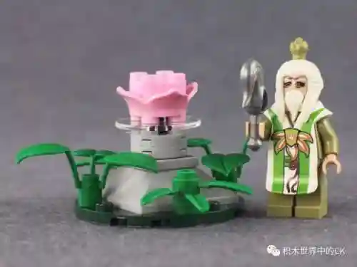 绝版魔幻西游积木搭配阵容(梦幻西游最强伙伴阵容)插图5