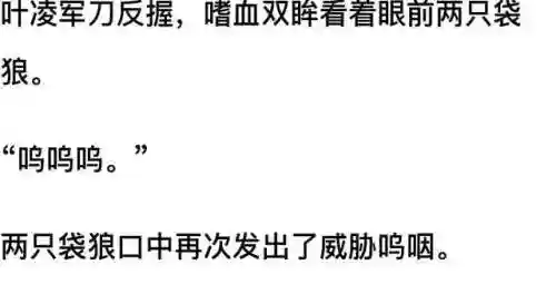 我和七个女神在荒岛求生(和女神们流落荒岛我为王免费阅读)插图47