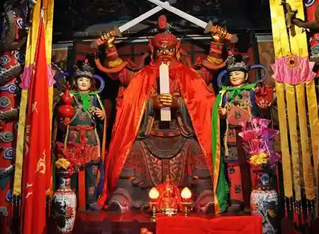 蚂蚱是益虫还是害虫(冰虫)插图3
