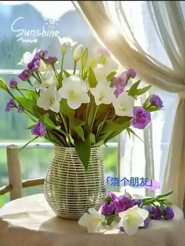早安物语推荐阵容搭配图(心力物语最强阵容)插图28