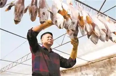 咸鱼大王前期阵容怎么搭配(咸鱼之王)