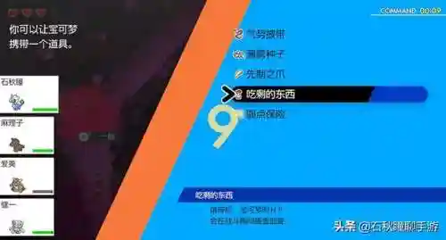 剑盾雪原最强阵容搭配(宝可梦剑盾最佳阵容)插图17