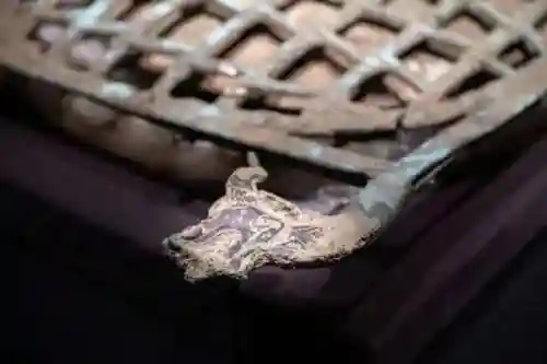 龙头半甲搭配什么阵容最好(云顶之弈最新版本t0阵容)插图7