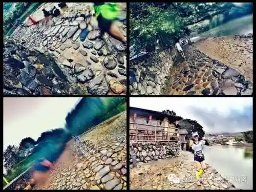 土楼试炼阵容怎么搭配(金玉满堂幻境试炼阵容推荐最新)插图28
