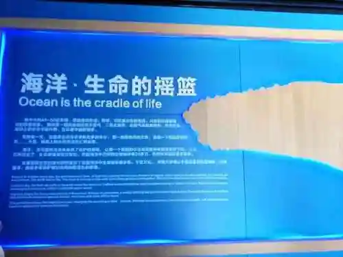 洛克王国红顶剑龙怎么进化(洛克王国龙系宠物在哪里超进化)插图11