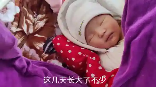 我在写作业的作文(妈妈辅导我写作业作文400字)插图1