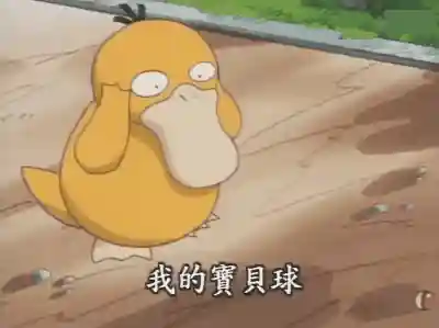 剑盾无神单打阵容搭配(剑盾pvp单打最强阵容)插图16