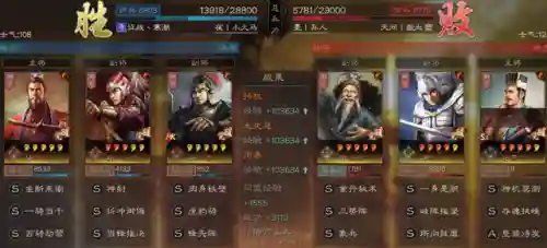 刘备贾诩搭配什么阵容(贾诩最强阵容推荐)插图5