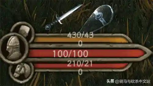 骑马与砍杀新阵容搭配(骑马与砍杀战团伙伴最佳搭配)插图7