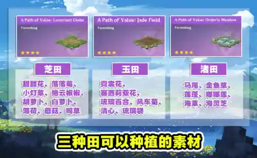 摩尔庄园法师搭配推荐阵容(摩尔庄园角色名字)