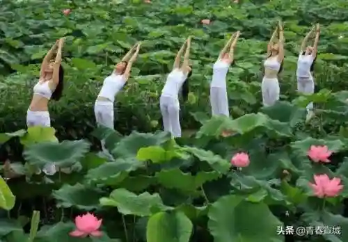 文明与征服宣城阵容搭配(文明与征服平民最强阵容第一名)插图24