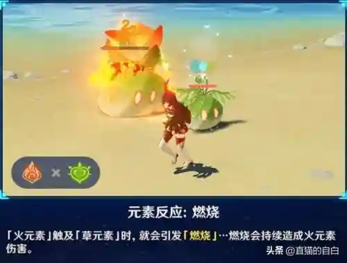 原神搭配阵容元素反应(原神早期阵容搭配推荐)插图4