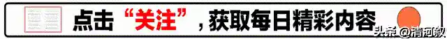 快速对决机甲战士阵容搭配(境界灵压对决豪华刺客阵容)