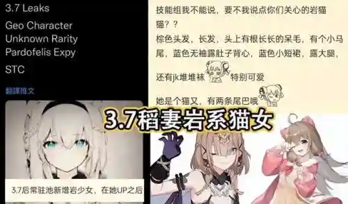 崩坏三猫女搭配阵容(崩坏三单s月轮怎么配阵容)插图2