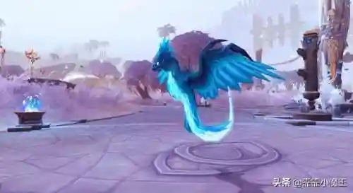 魔兽世界宠物推荐(wow70猎人必抓五只宠物)插图4
