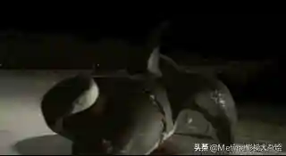 夺命六头鲨(夺命鲨一共有几部)插图14
