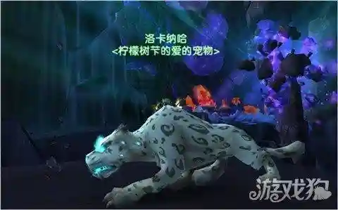 魔兽335猎人宝宝大全(335版本猎人最好用的宠物)插图1