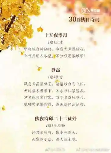 秋天的诗句(一二三年级秋天的诗简单)插图8